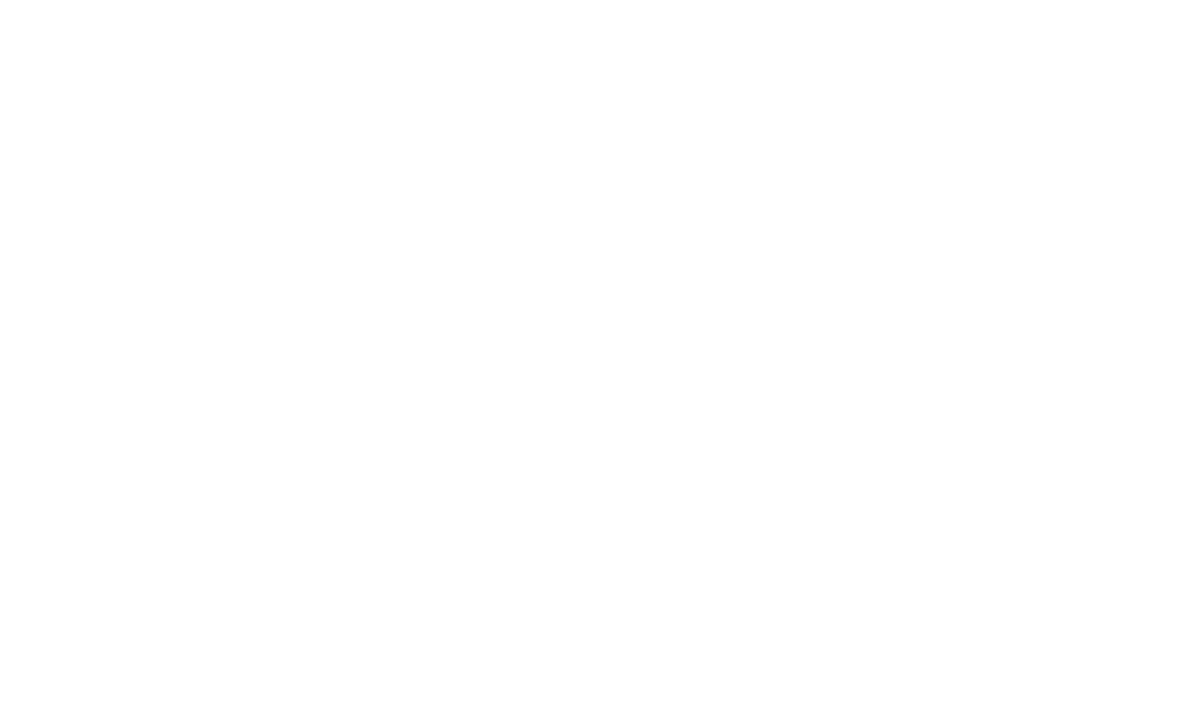 Solcz Family Foundation logo